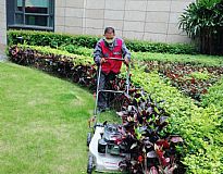 ��ƺ�޼����I